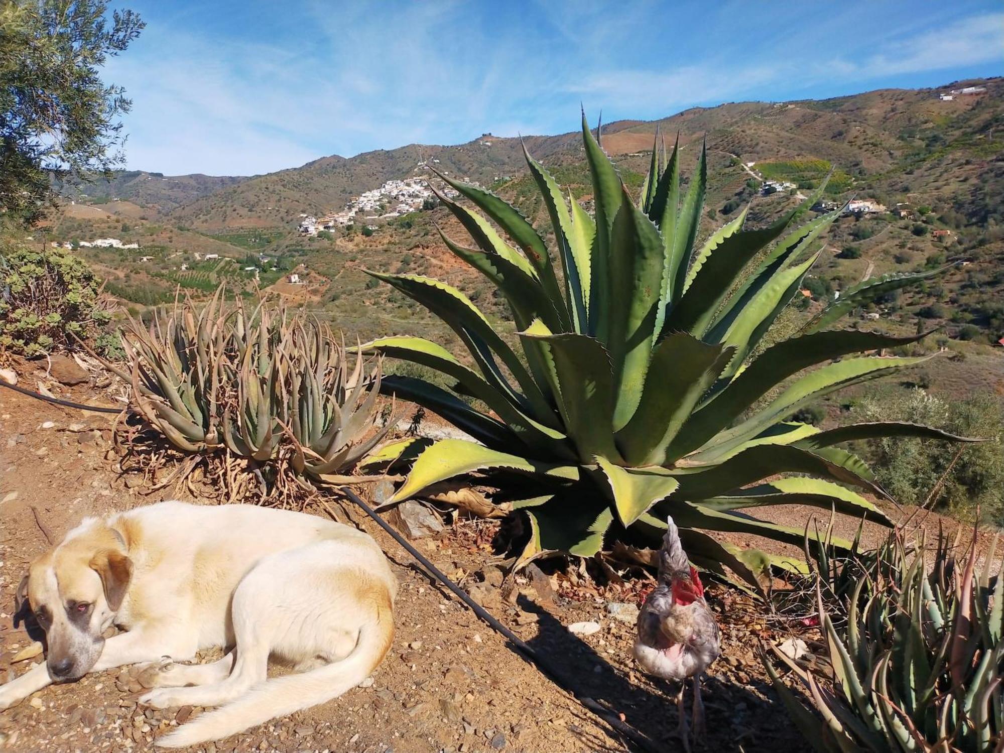 Paraje El Pozo Малага Екстер'єр фото